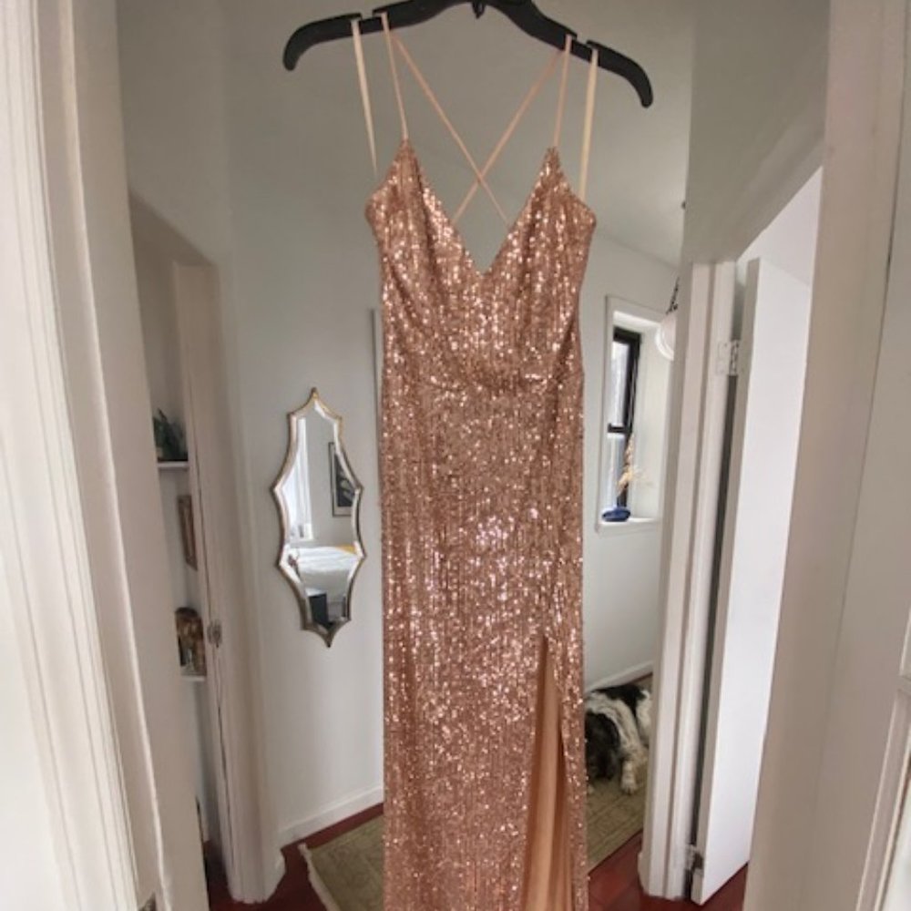 Small Blush Beaded Gown